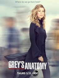 Grey's Anatomy Saison 16 french stream