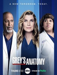 Grey's Anatomy Saison 18 french stream