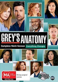 Grey's Anatomy Saison 9 french stream
