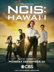 NCIS: Hawai'i french stream gratuit